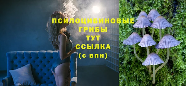 ешки Вязьма